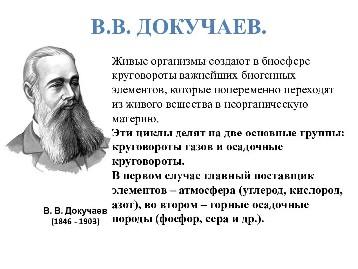 В. В. Докучаев (1846 - 1903) Живые организмы создают в биосфере