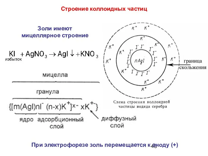 Строение коллоидных частиц Золи имеют мицеллярное строение При электрофорезе золь перемещается к аноду (+)