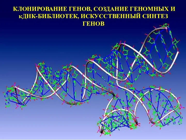 Клонирование генов, создание геномных и кДНК-библиотек, искусственный синтез генов