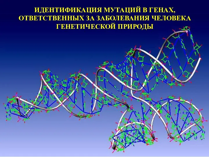 Идентификация мутаций в генах, ответственных за заболевания человека генетической природы. Цитогенетический анализ