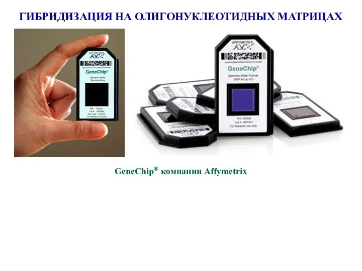 ГИБРИДИЗАЦИЯ НА ОЛИГОНУКЛЕОТИДНЫХ МАТРИЦАХ GeneChip® компании Affymetrix