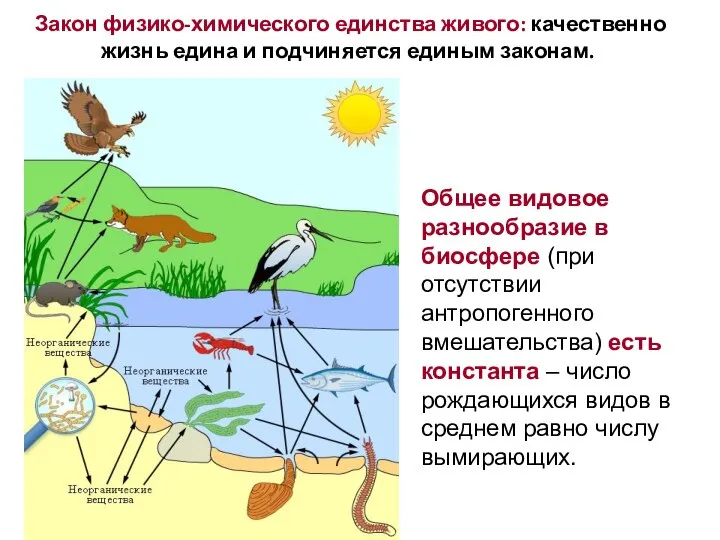 Закон физико-химического единства живого: качественно жизнь едина и подчиняется единым законам.