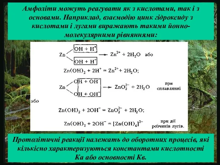 Амфоліти можуть реагувати як з кислотами, так і з основами. Наприклад,