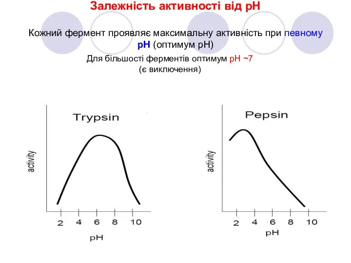 Залежність активності від рН Кожний фермент проявляє максимальну активність при певному