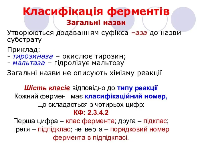 Класифікація ферментів Загальні назви Утворюються додаванням суфікса –аза до назви субстрату