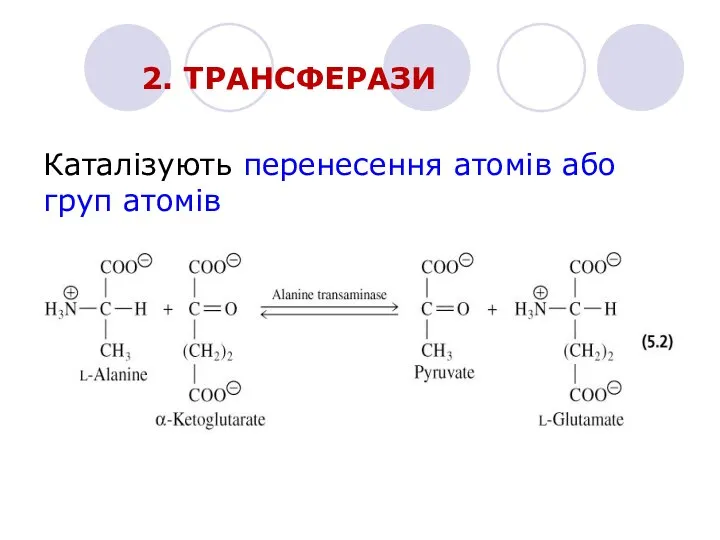 2. ТРАНСФЕРАЗИ Каталізують перенесення атомів або груп атомів