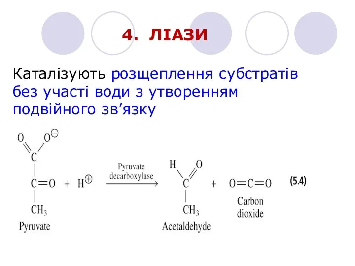 4. ЛІАЗИ Каталізують розщеплення субстратів без участі води з утворенням подвійного зв’язку