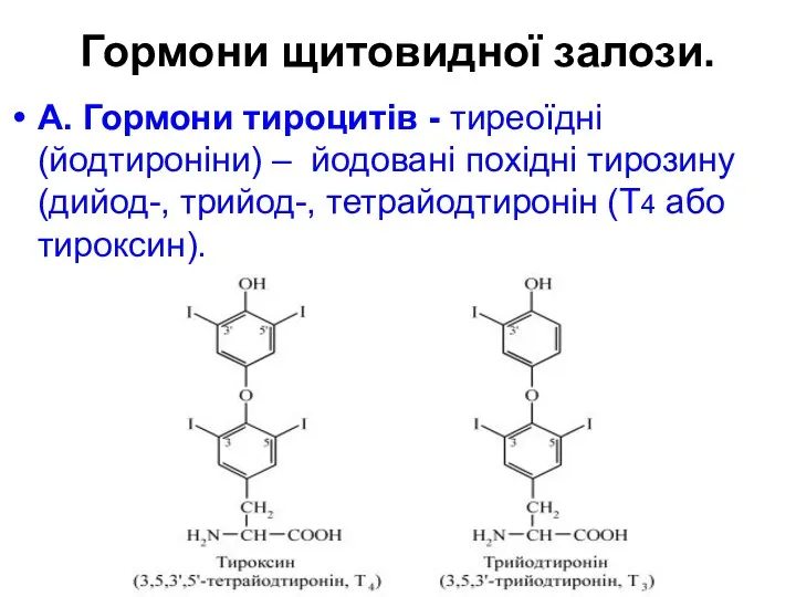Гормони щитовидної залози. А. Гормони тироцитів - тиреоїдні (йодтироніни) – йодовані