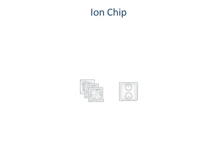 Ion Chip