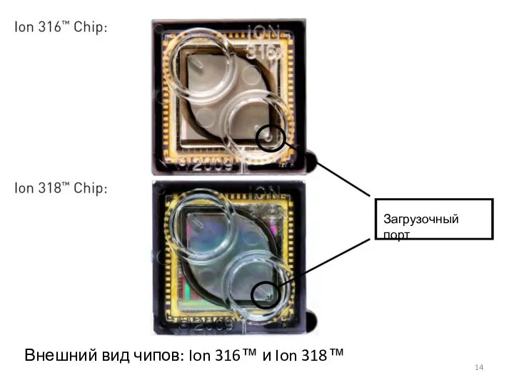 Загрузочный порт Внешний вид чипов: Ion 316™ и Ion 318™