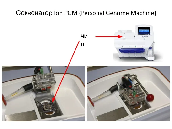 Секвенатор Ion PGM (Personal Genome Machine) - чип