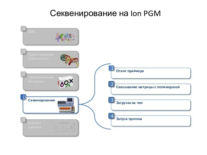 Секвенирование на Ion PGM