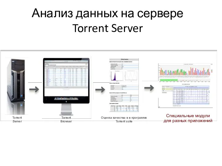 Анализ данных на сервере Torrent Server