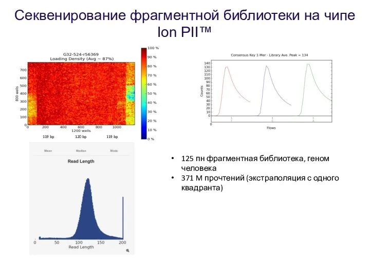 Секвенирование фрагментной библиотеки на чипе Ion PII™ 125 пн фрагментная библиотека,