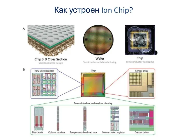 Как устроен Ion Chip?