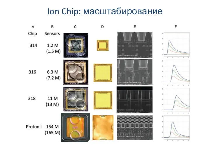 Ion Chip: масштабирование