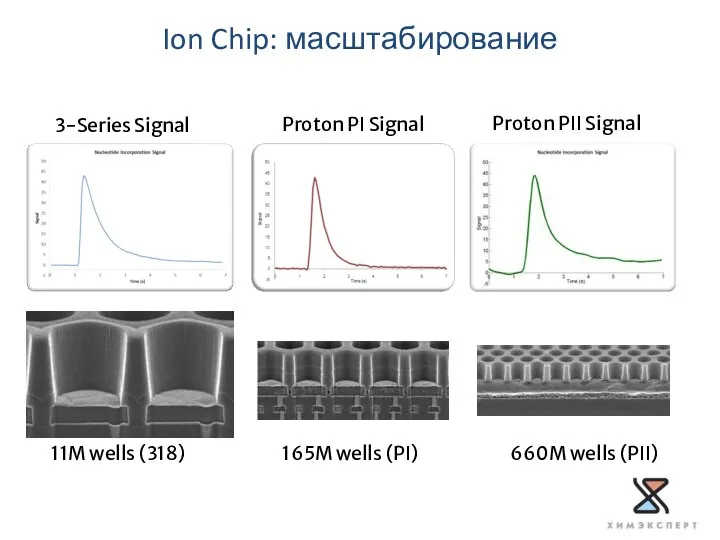 3-Series Signal Proton PI Signal Proton PII Signal 11M wells (318)