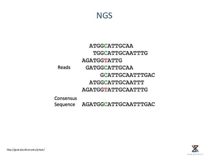 NGS http://gcat.davidson.edu/phast/