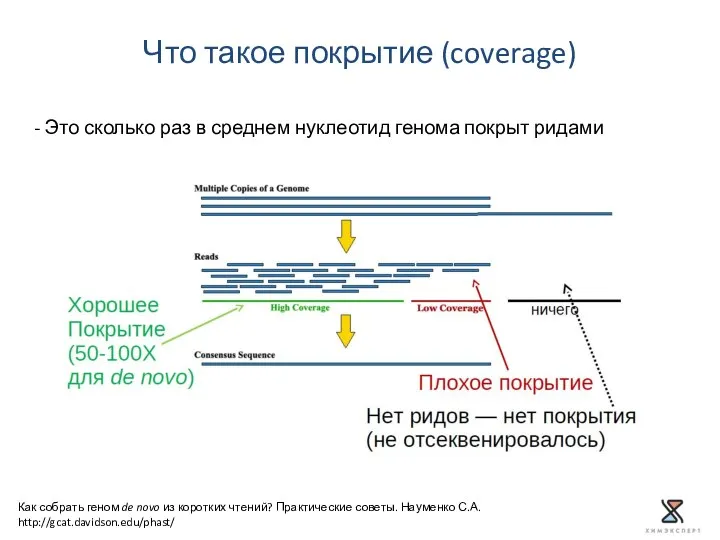 Что такое покрытие (coverage) Как собрать геном de novo из коротких