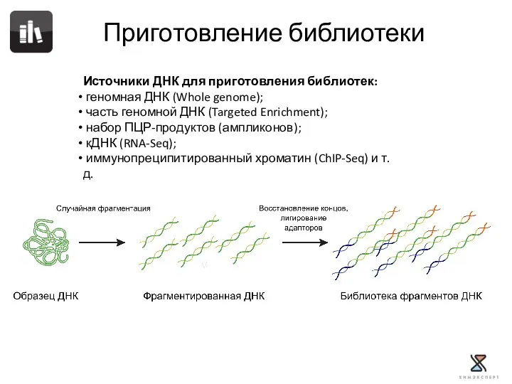 Приготовление библиотеки Источники ДНК для приготовления библиотек: геномная ДНК (Whole genome);