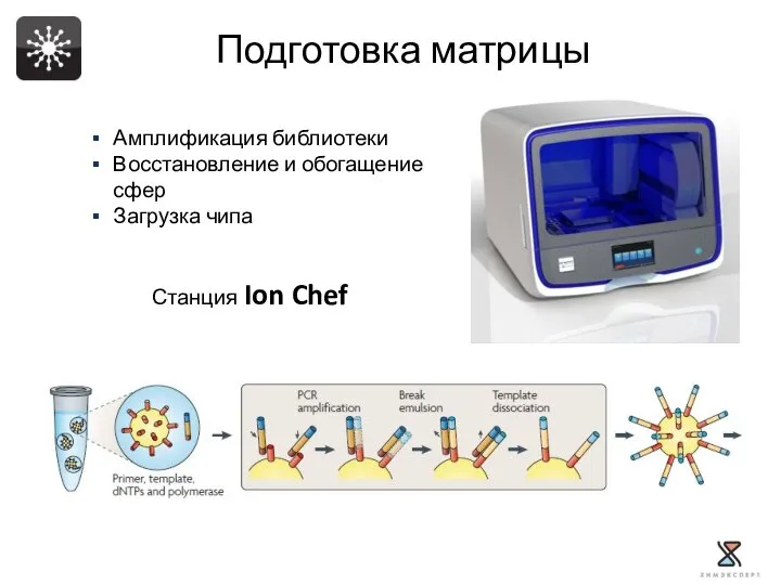 Амплификация библиотеки Восстановление и обогащение сфер Загрузка чипа Станция Ion Chef Подготовка матрицы