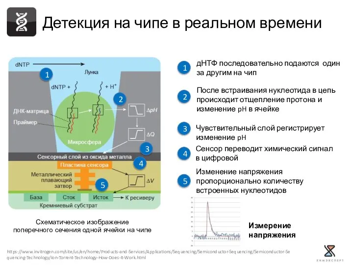 Детекция на чипе в реальном времени 1 2 3 4 5