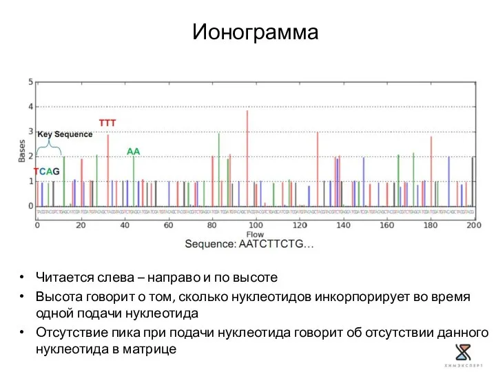 Читается слева – направо и по высоте Высота говорит о том,