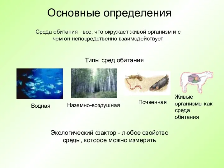 Основные определения Среда обитания - все, что окружает живой организм и