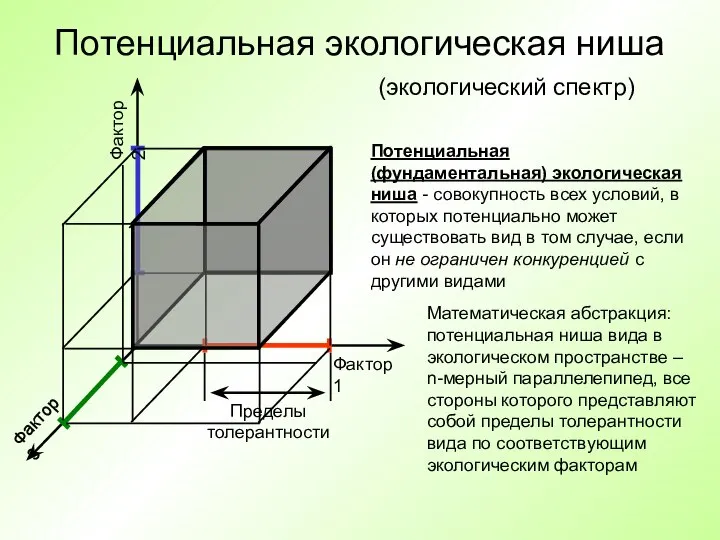 Потенциальная экологическая ниша Фактор 1 Фактор 2 Фактор 3 Потенциальная (фундаментальная)