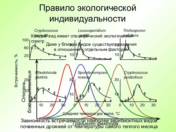 Правило экологической индивидуальности Каждый вид имеет специфический экологический спектр Даже у