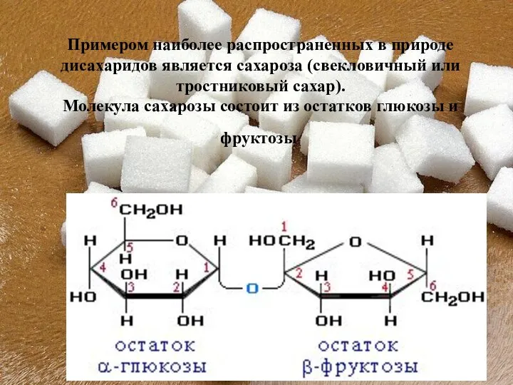 Примером наиболее распространенных в природе дисахаридов является сахароза (свекловичный или тростниковый