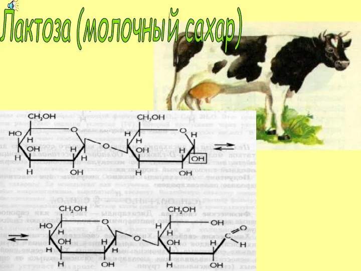 Лактоза (молочный сахар)