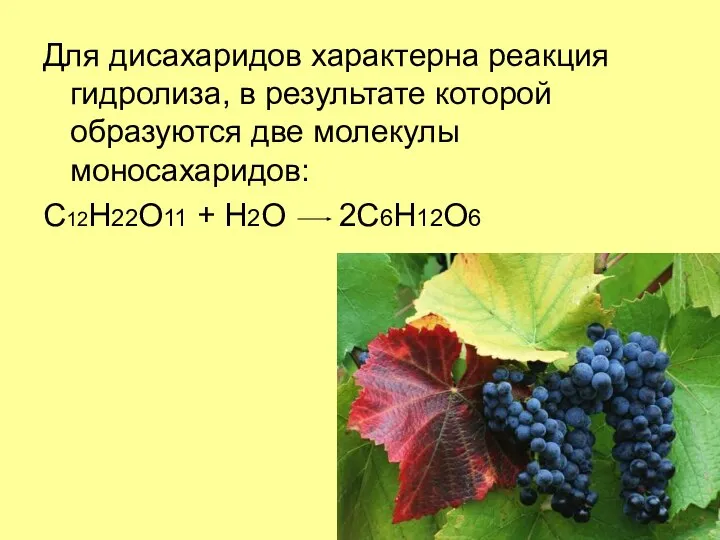 Для дисахаридов характерна реакция гидролиза, в результате которой образуются две молекулы моносахаридов: C12H22O11 + H2O 2C6H12O6