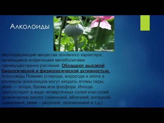 Алколоиды азотсодержащие вещества оснóвного характера, являющиеся вторичными метаболитами преимущественно растений. Обладают