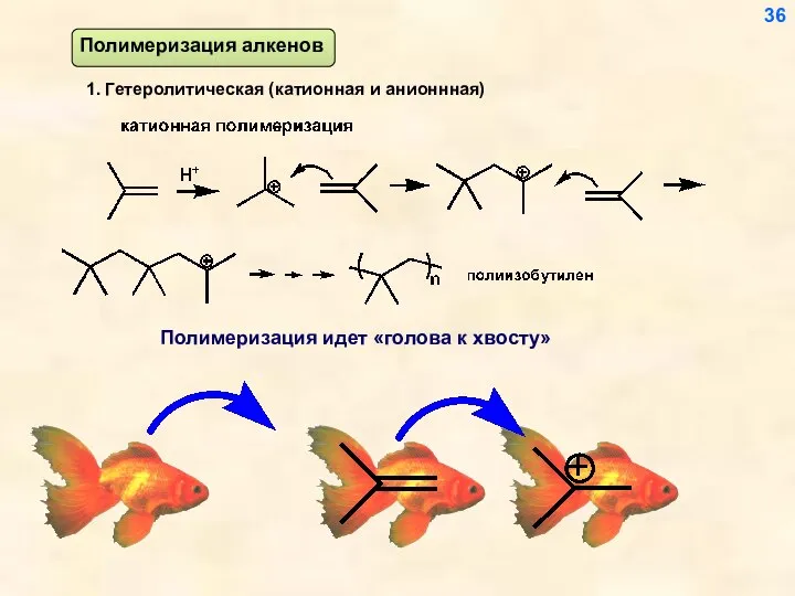 1. Гетеролитическая (катионная и анионнная) Полимеризация идет «голова к хвосту» 36