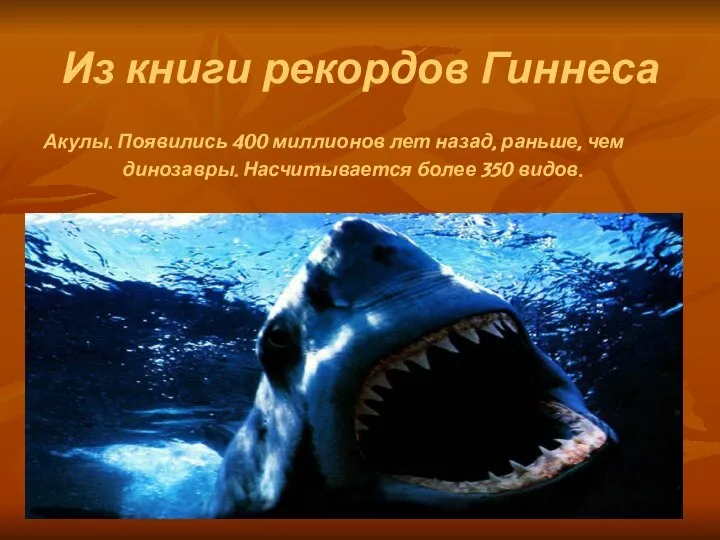 Из книги рекордов Гиннеса Акулы. Появились 400 миллионов лет назад, раньше,
