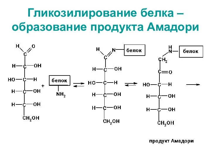 Гликозилирование белка – образование продукта Амадори