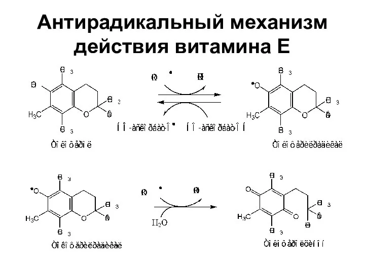 Антирадикальный механизм действия витамина Е