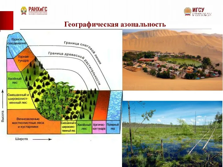 Географическая азональность