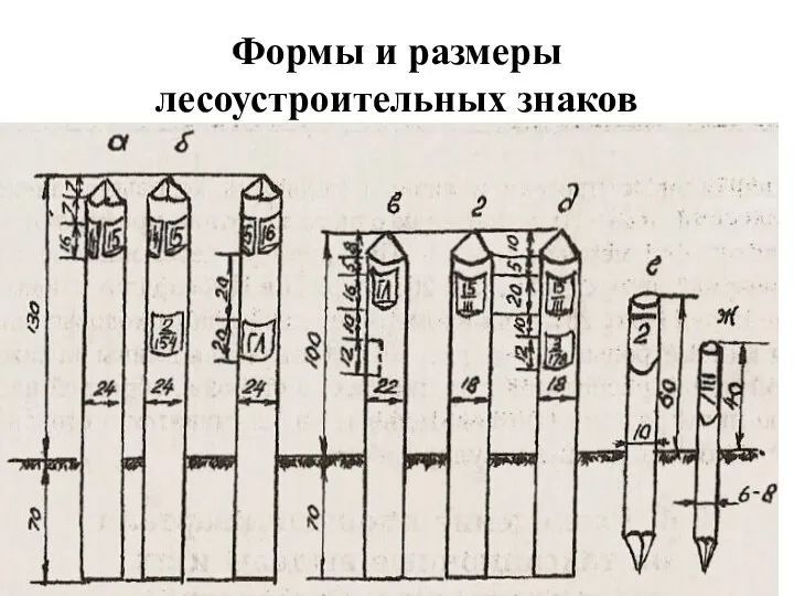 Формы и размеры лесоустроительных знаков