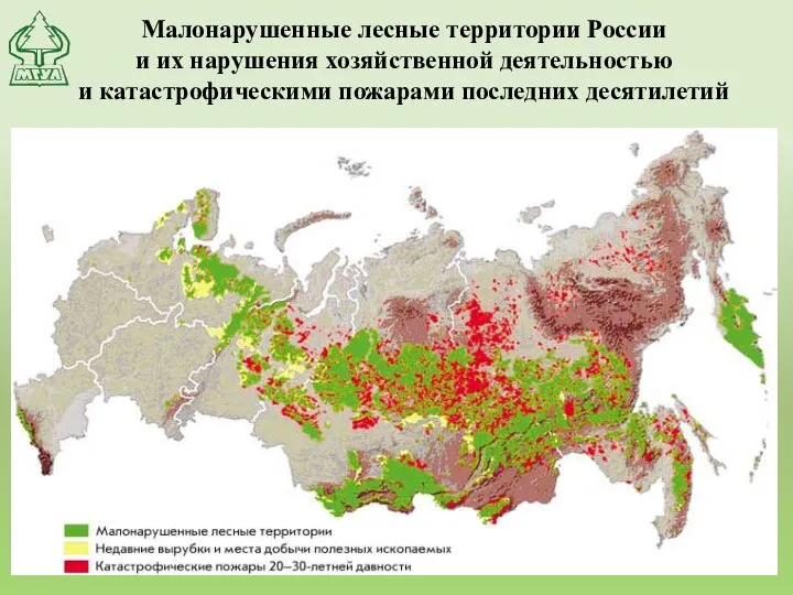 Малонарушенные лесные территории России и их нарушения хозяйственной деятельностью и катастрофическими пожарами последних десятилетий