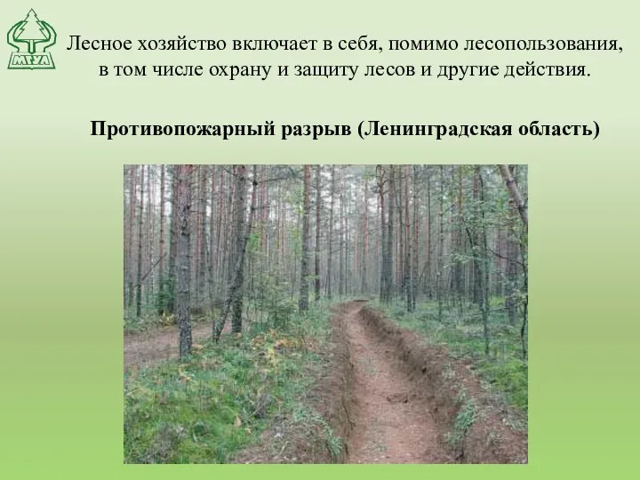 Лесное хозяйство включает в себя, помимо лесопользования, в том числе охрану