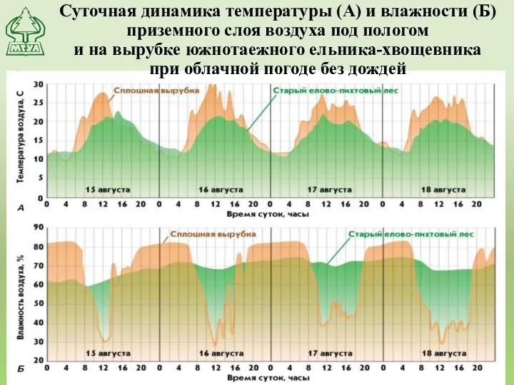 Суточная динамика температуры (А) и влажности (Б) приземного слоя воздуха под