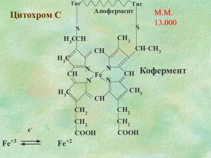 Цитохром С М.М. 13.000 е-