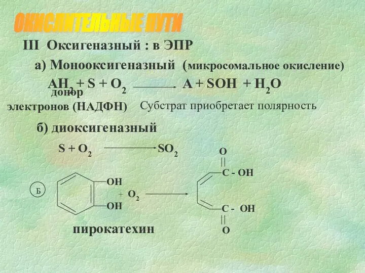III Оксигеназный : в ЭПР а) Монооксигеназный (микросомальное окисление) б) диоксигеназный