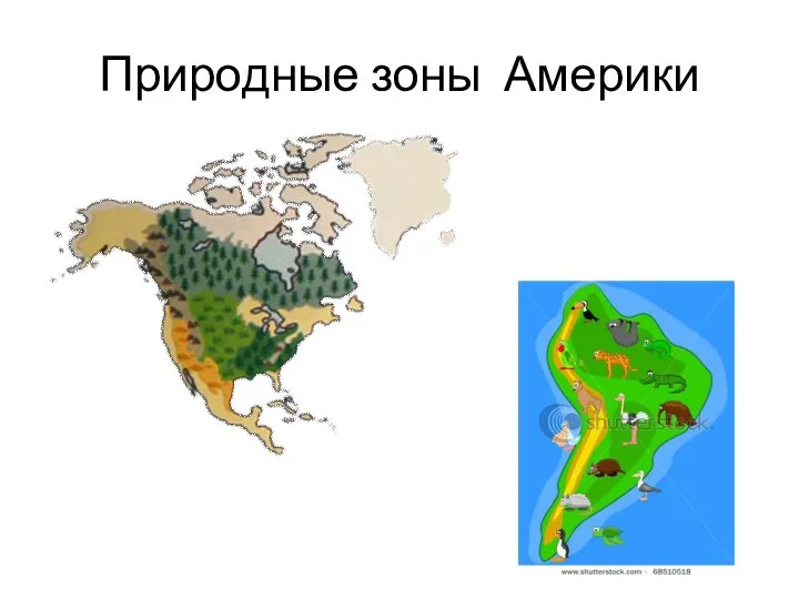 Природные зоны Америки