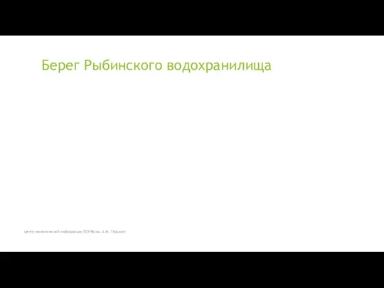 Берег Рыбинского водохранилища Центр экологической информации ТОУНБ им. А.М. Горького