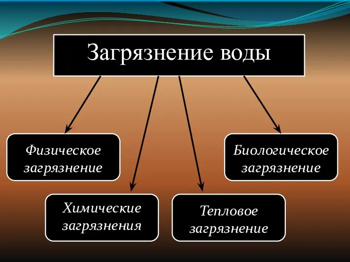 Загрязнение воды Физическое загрязнение Химические загрязнения Биологическое загрязнение Тепловое загрязнение