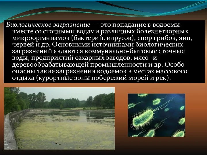 Биологическое загрязнение — это попадание в водоемы вместе со сточными водами