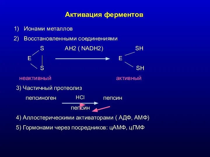 Активация ферментов Ионами металлов Восстановленными соединениями S AH2 ( NADH2) SH
